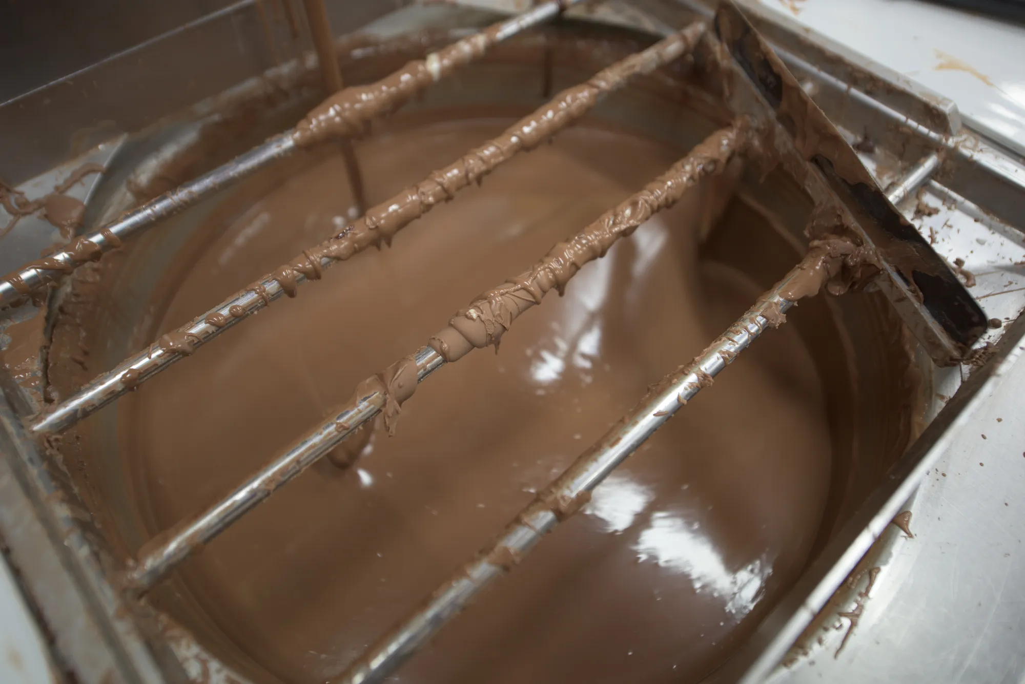 Mayan Monkey Chocolate Factory